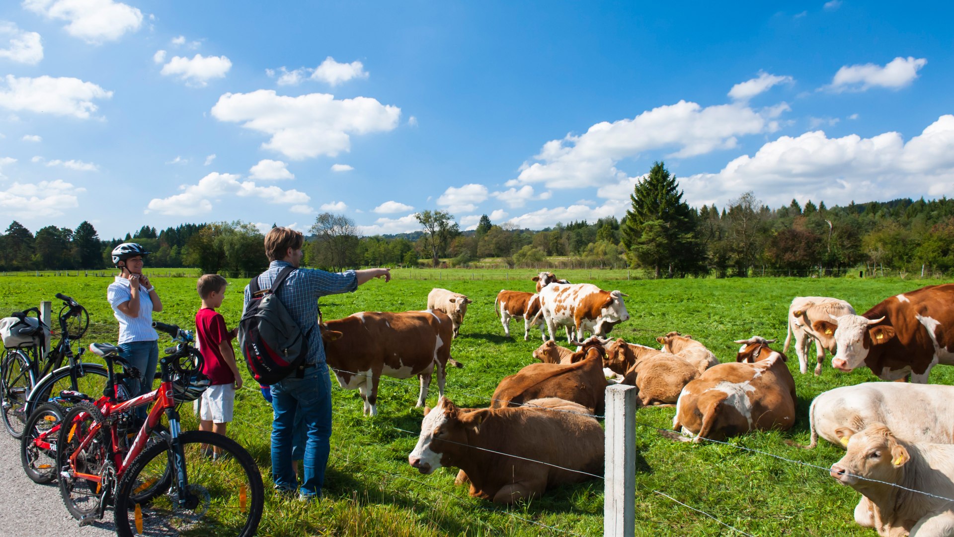 Familienausflug in die Natur