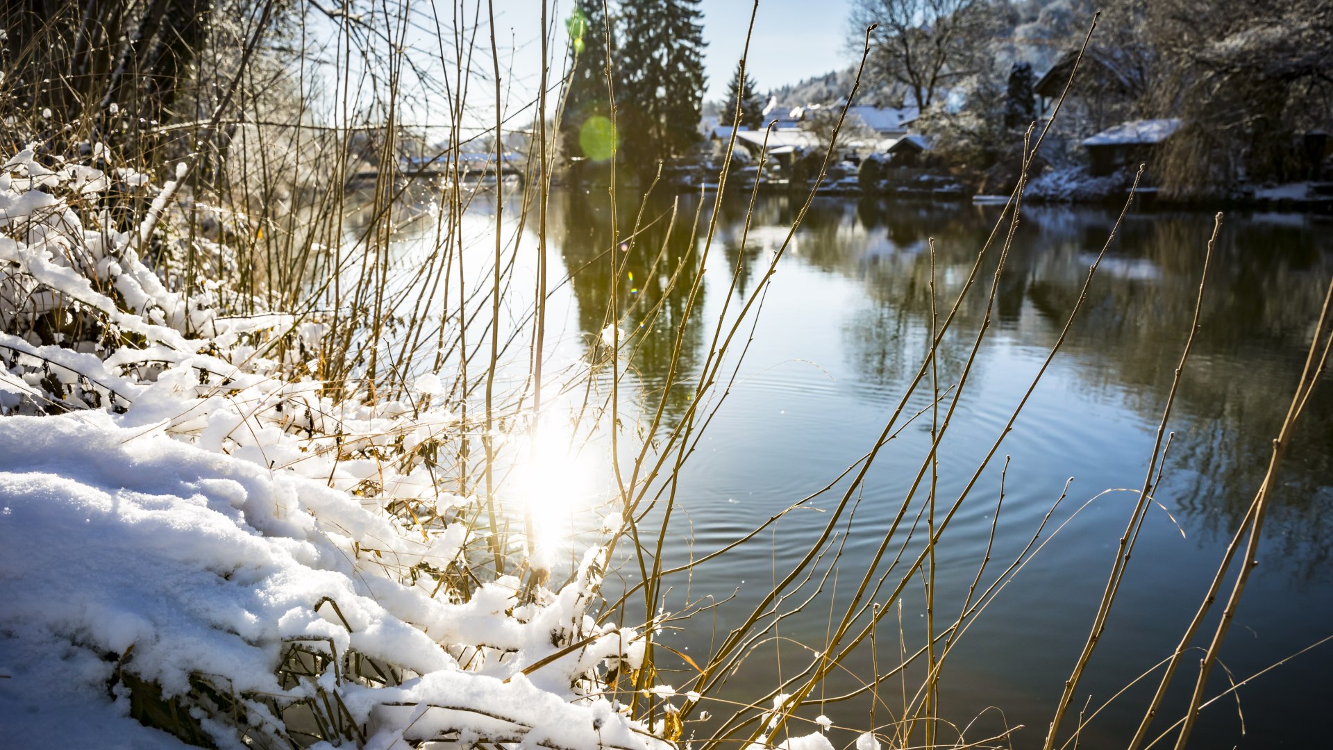 Winter, © Adrian Greiter